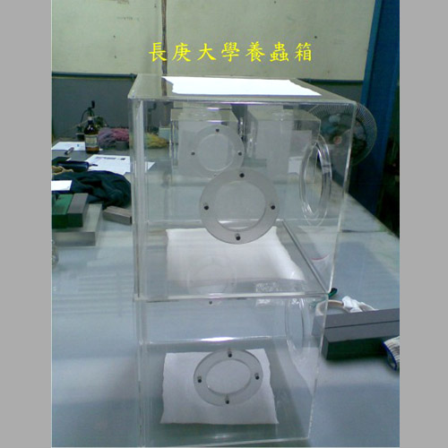 製品25